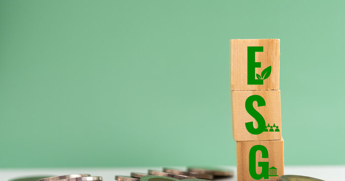 ESG, a strategia biznesowa